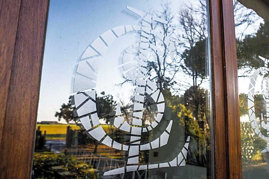 Hotel Classensis
