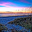 Island Club Hilton Head