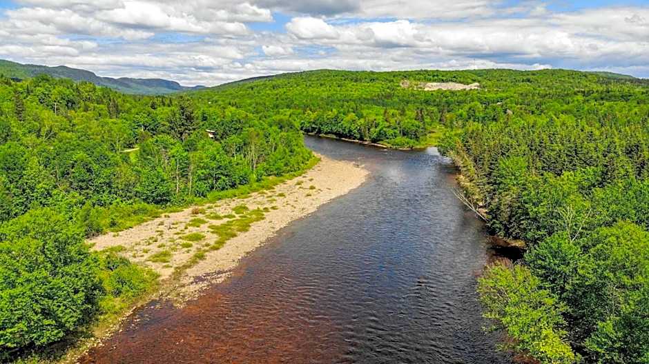 Riverside Cabin, Fishing, and Relaxation