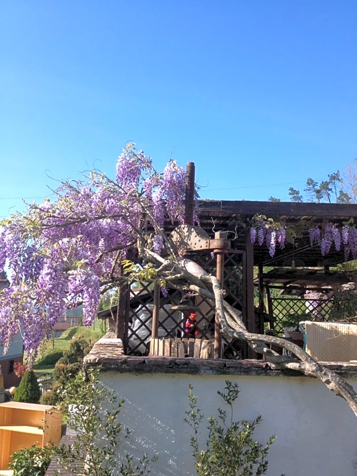 Il Ghiro B&B