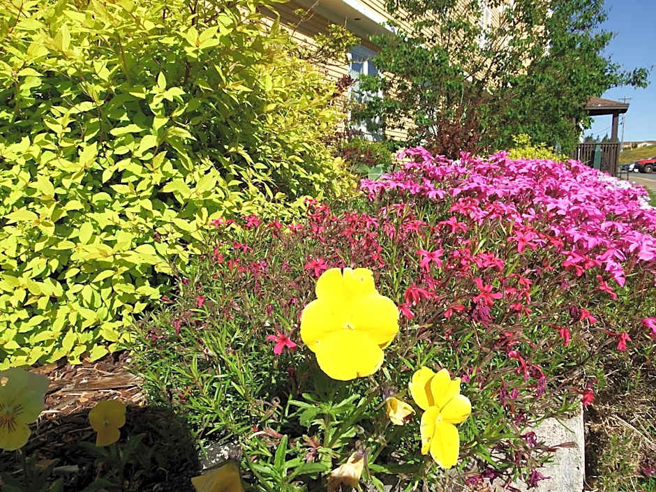 The Wilds at Salmonier River