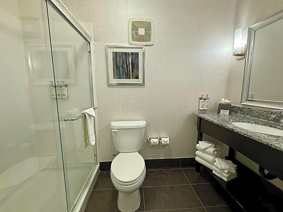 Holiday Inn Carlsbad/San Diego By IHG
