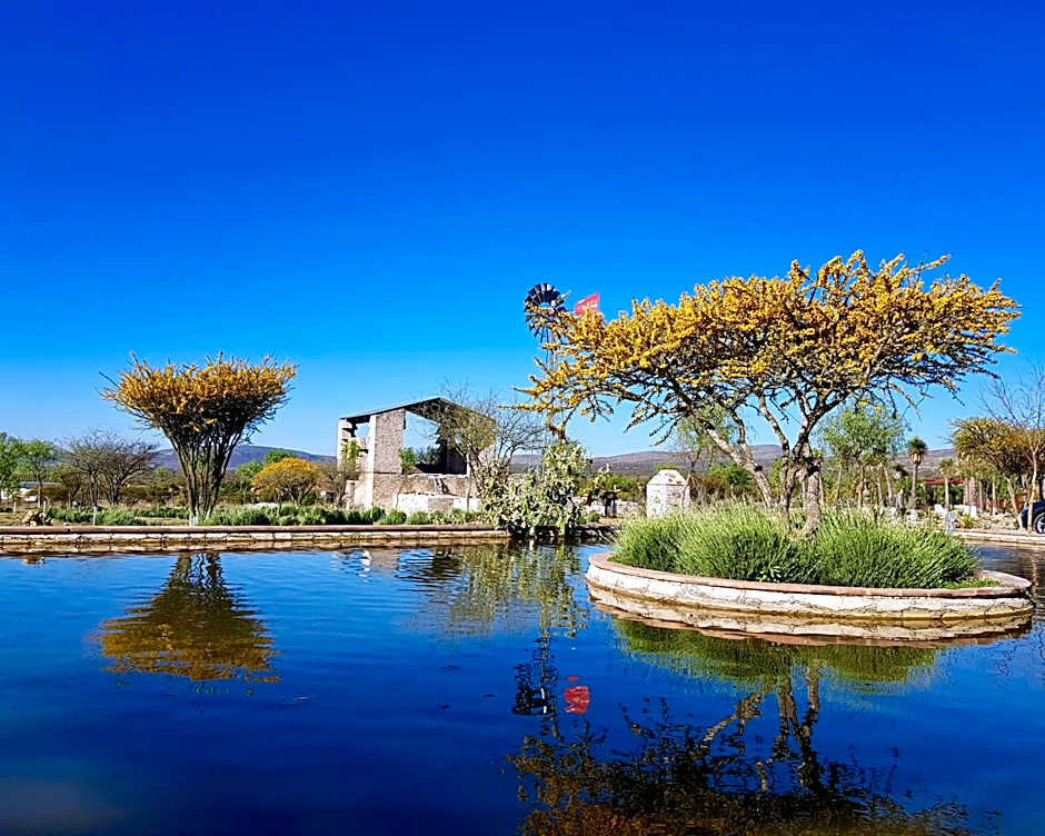Mineral del Cielo