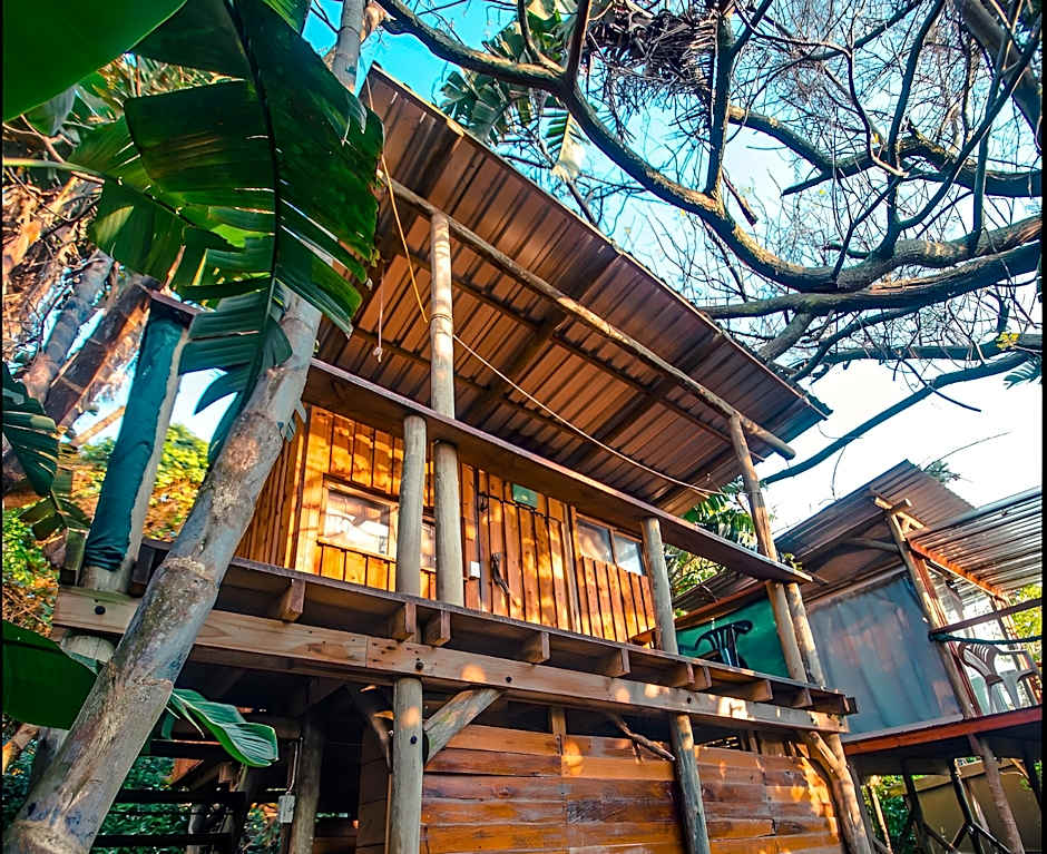 Mantis and Moon Backpackers and Surf Hostel