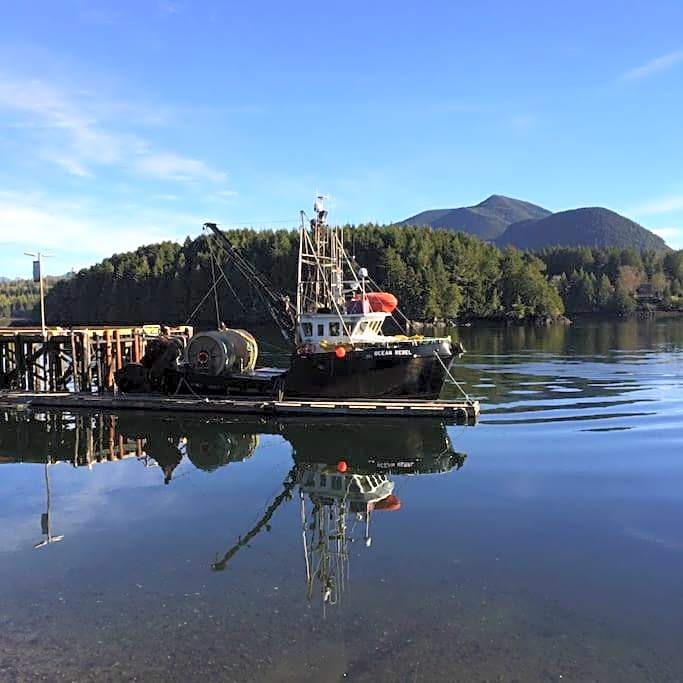 Brown's Beach Guest Suite