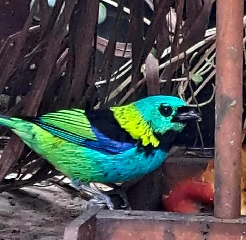 Pousada Trilha da Serra