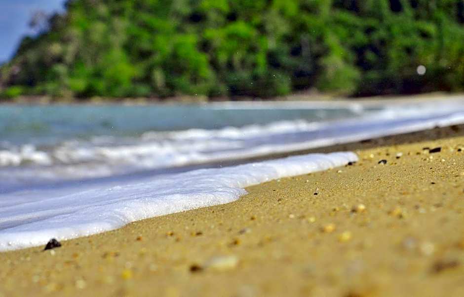 Beachfront Apartments on Trinity Beach