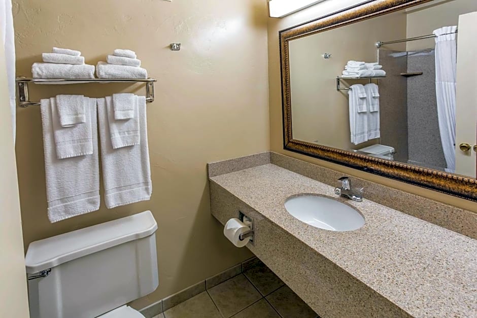 Quality Inn & Suites Downtown