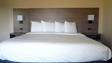 King Suite with Roll-In Shower and Sofa Bed - Disability Access/Non-Smoking