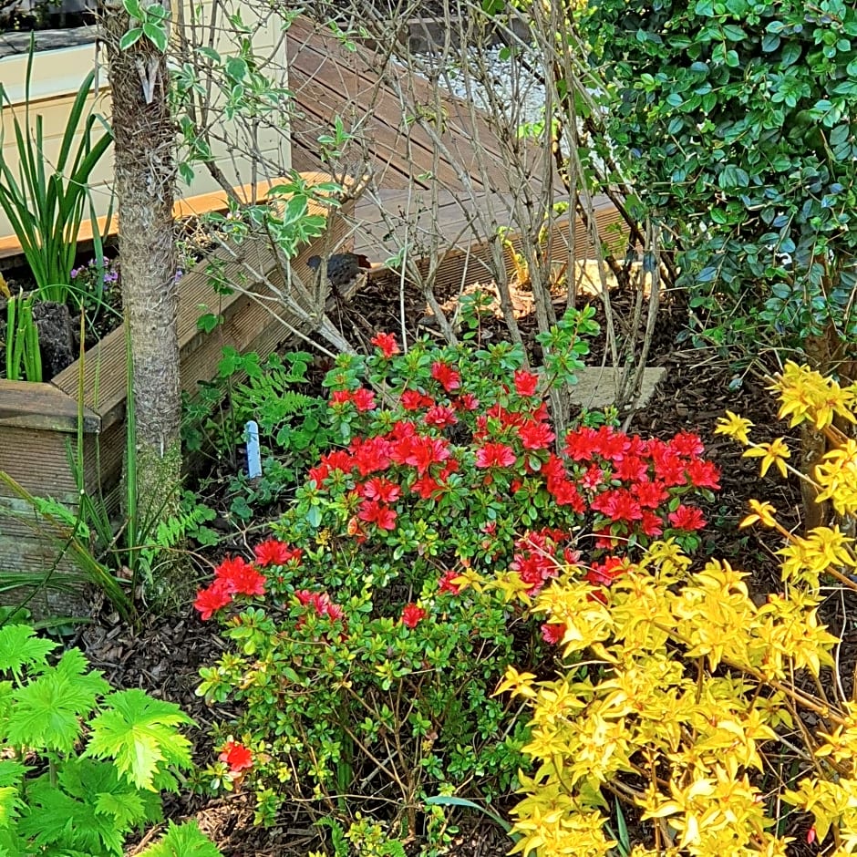 Eden's Rest Bed and Breakfast