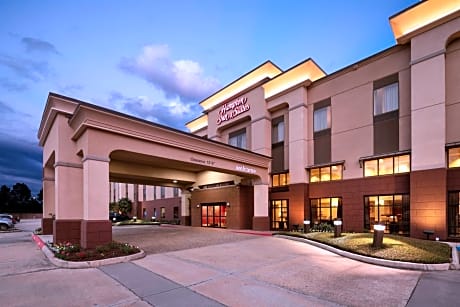 Hampton Inn By Hilton & Suites Baton Rouge I-10 East