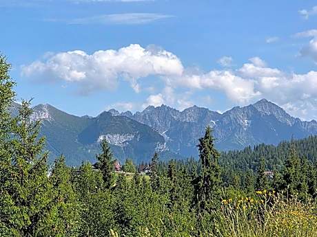 Family Two-Bedroom Apartment with View