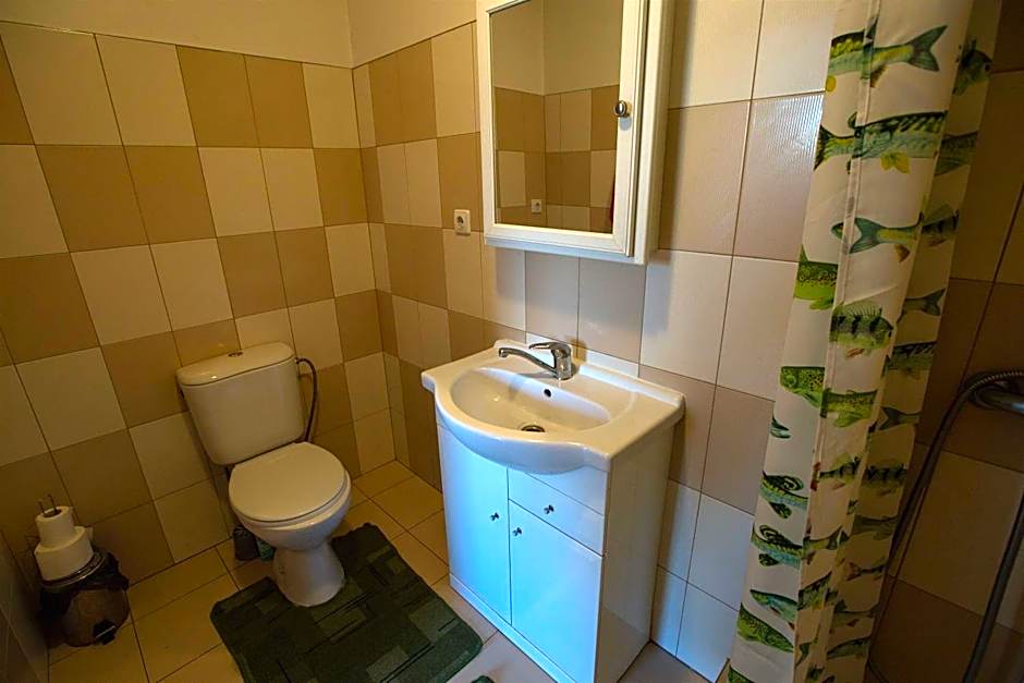 Svečiuose pas Aldoną