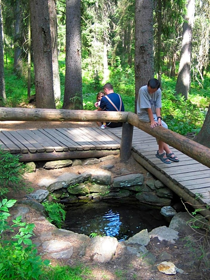 Hotel Srní depandance - Šumava