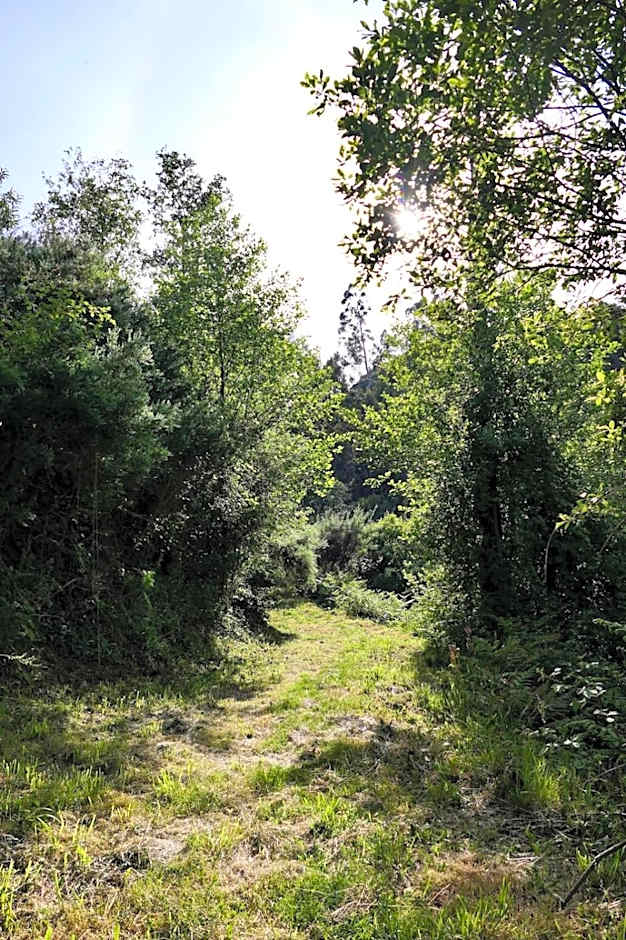 D'Alijo Retreat Center