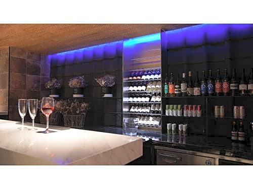 Willows Hotel Osaka Shin Imamiya - Vacation STAY 03159v