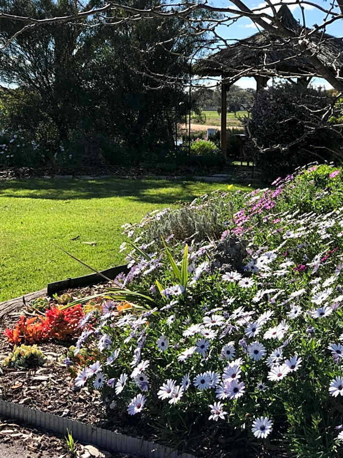 Yellow Gum Bed and Breakfast