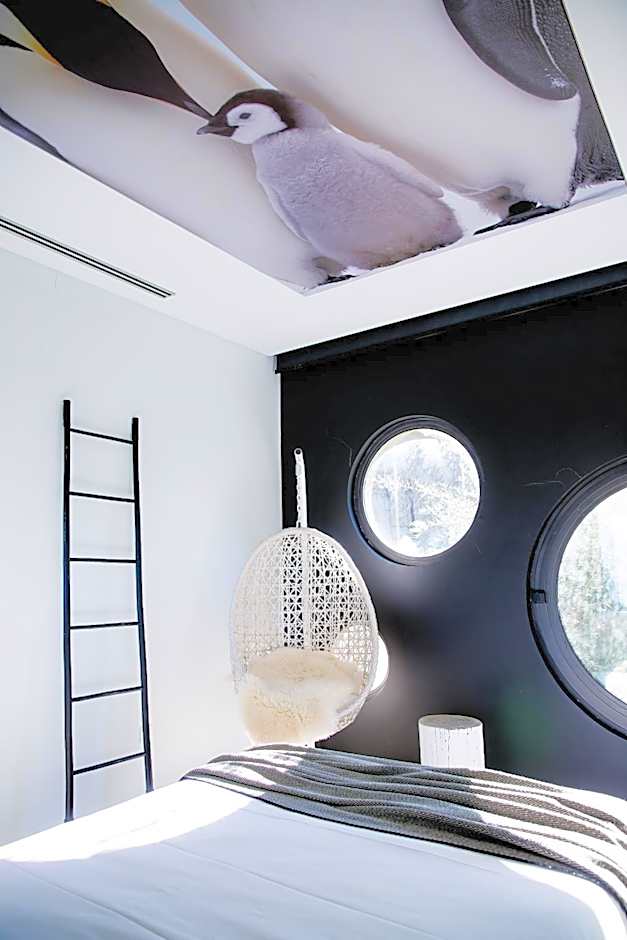 Cooking and Nature - Emotional Hotel