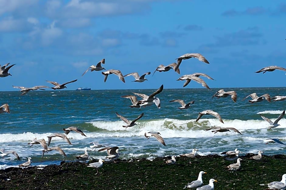 Bed & Breakfast aan Zee
