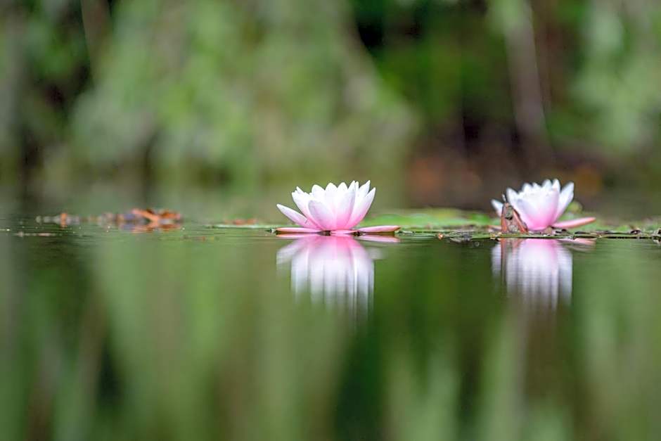 RESIDENCE Rive Droite