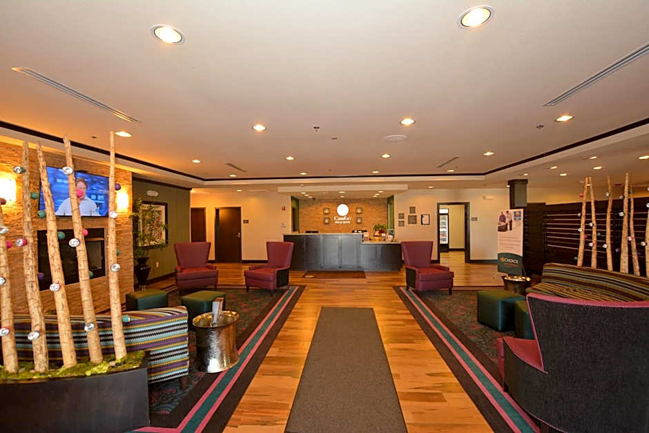 Comfort Inn & Suites - Newcastle