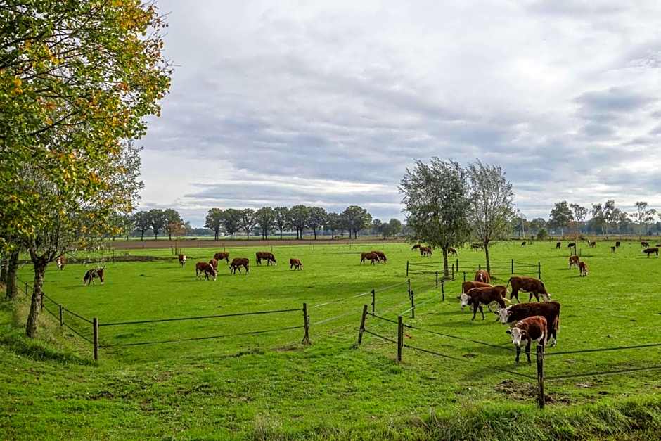 Boertel Lamperse Hei