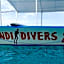 Scandi Divers