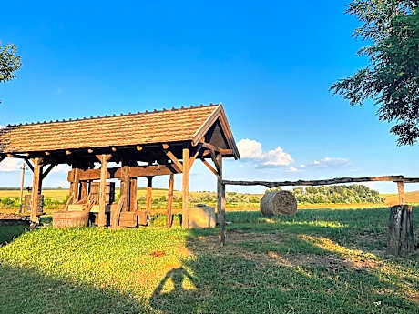 Buzál-Mórocza Pincészet és Szálláshely