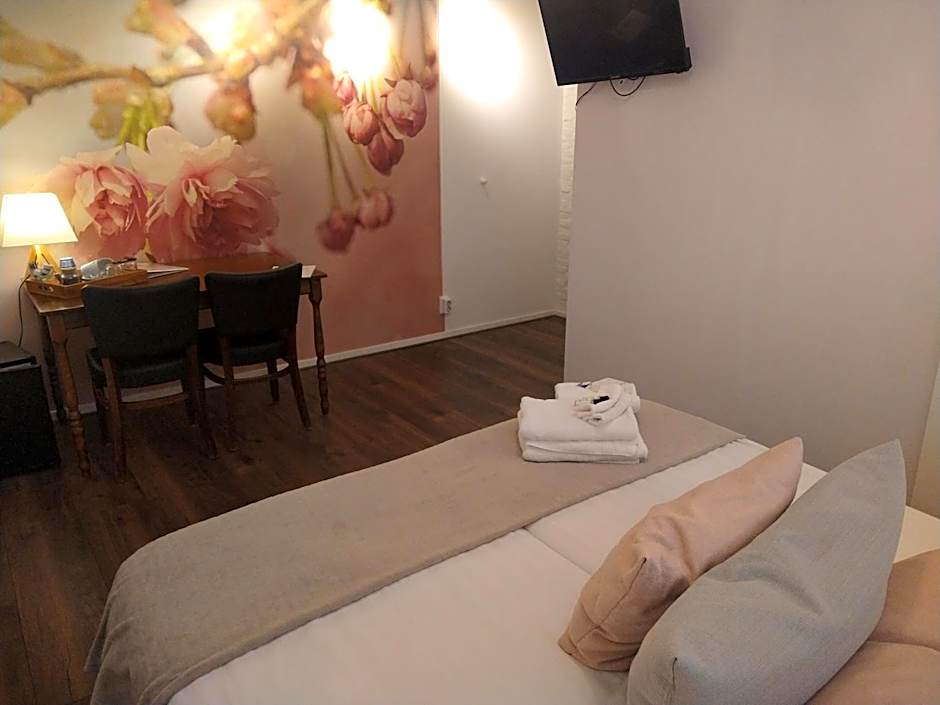 B&B-Hotel de Joremeinshoeve
