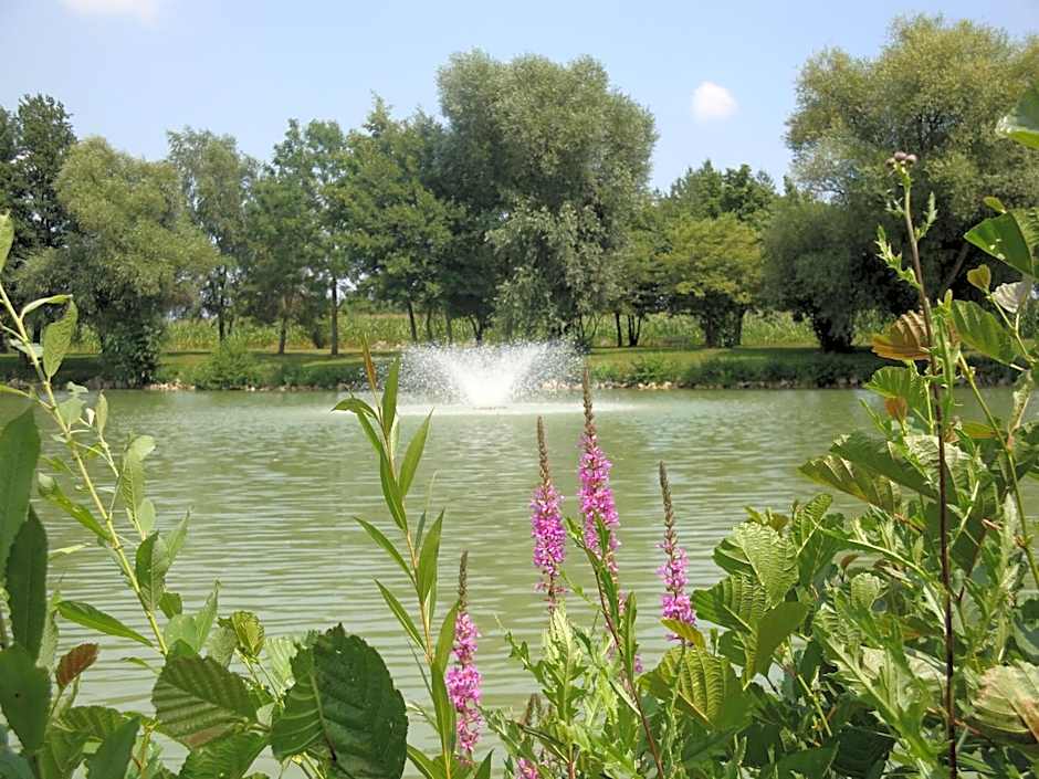 Apparthotel Minerva Diana Octavia