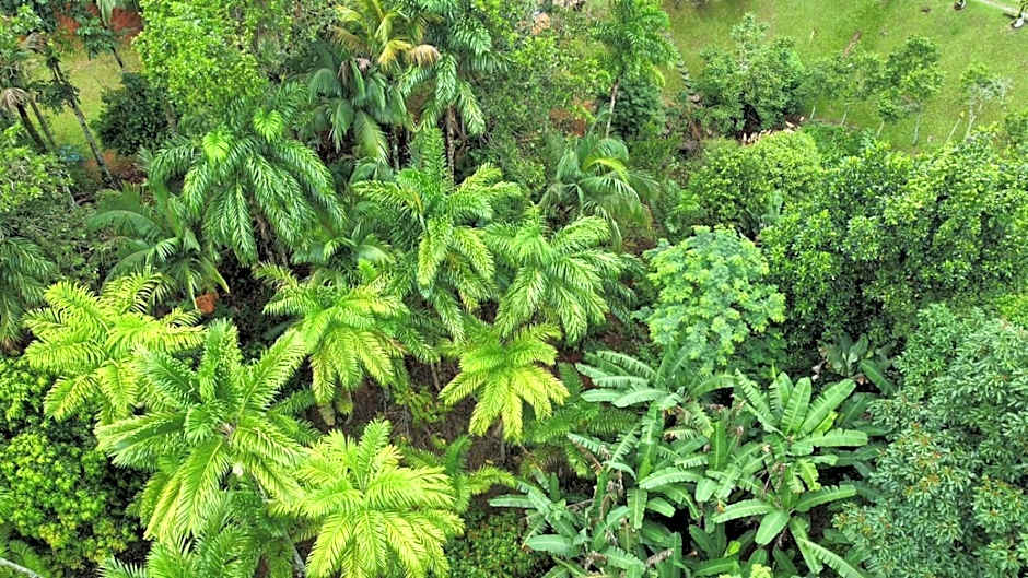 Refúgio da Montanha - Cascata - Lumiar