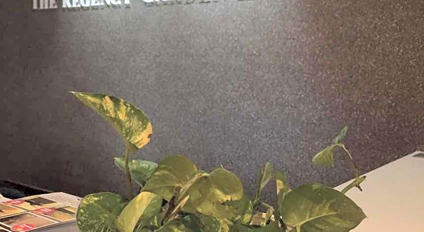 The Regency Garden Hotel