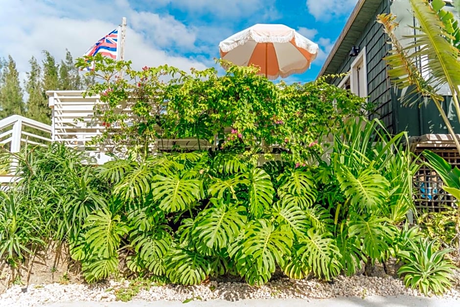The GUAVA SHACK - Vacation STAY 28935v