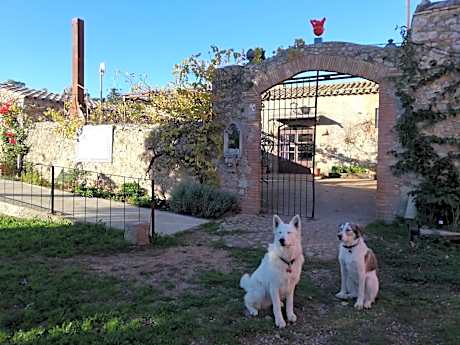 Mas Del Llop Blanc - Dog friendly Hostal Rural - B&B