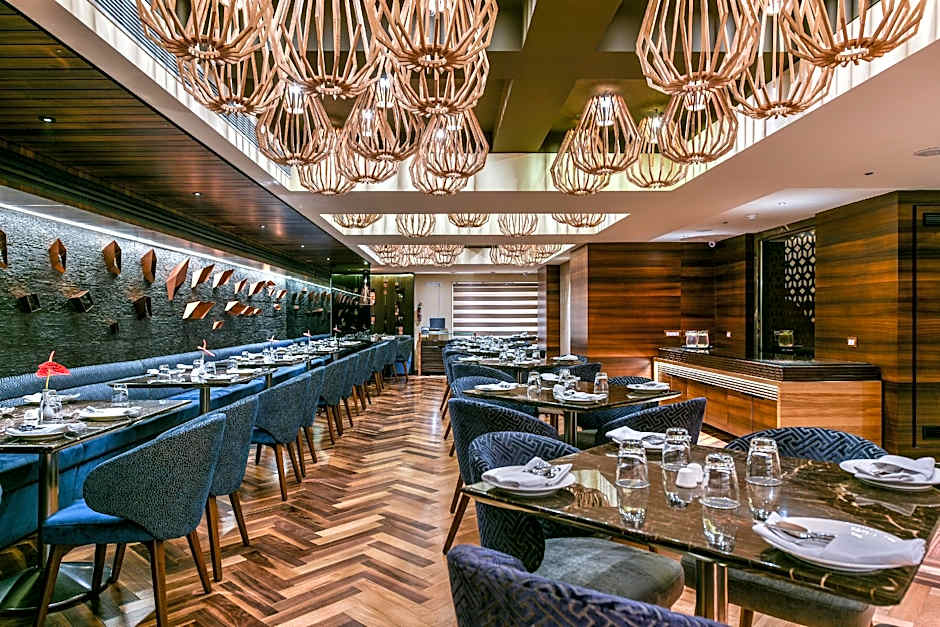 The Paradise by Tunga