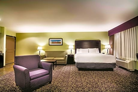 1 King Bed Deluxe Room Various Views Non-Smoking
