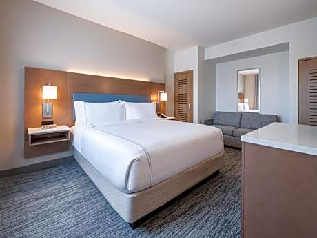 One-Bedroom King Suite