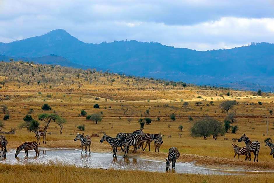 Salt Lick Safari Lodge