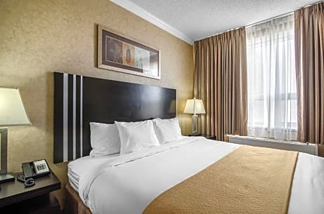 1 King Bed Deluxe Suite Non-Smoking