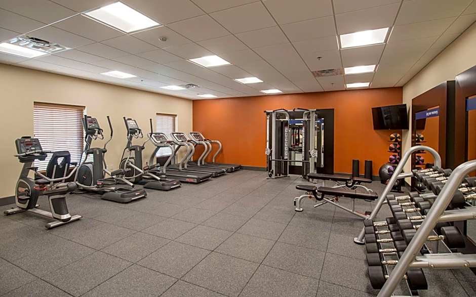 Hampton Inn By Hilton & Suites Braselton