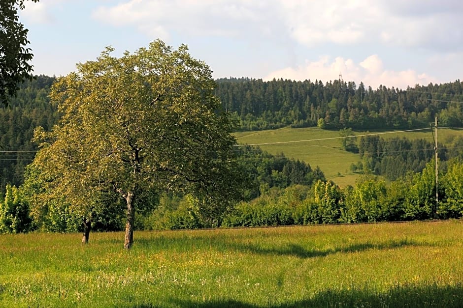 hotel rainhof scheune & naturpark restaurant (Kirchzarten)