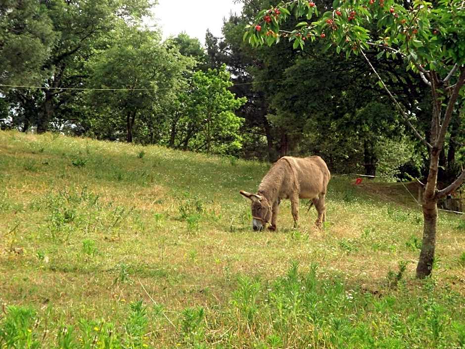 Quinta Do Crestelo Aparthotel