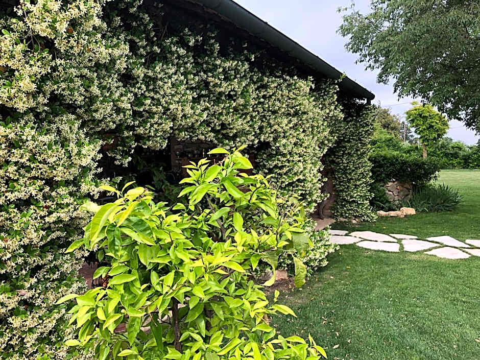 B&B BAGOLARI