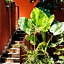 Casa Luna Hotel Boutique