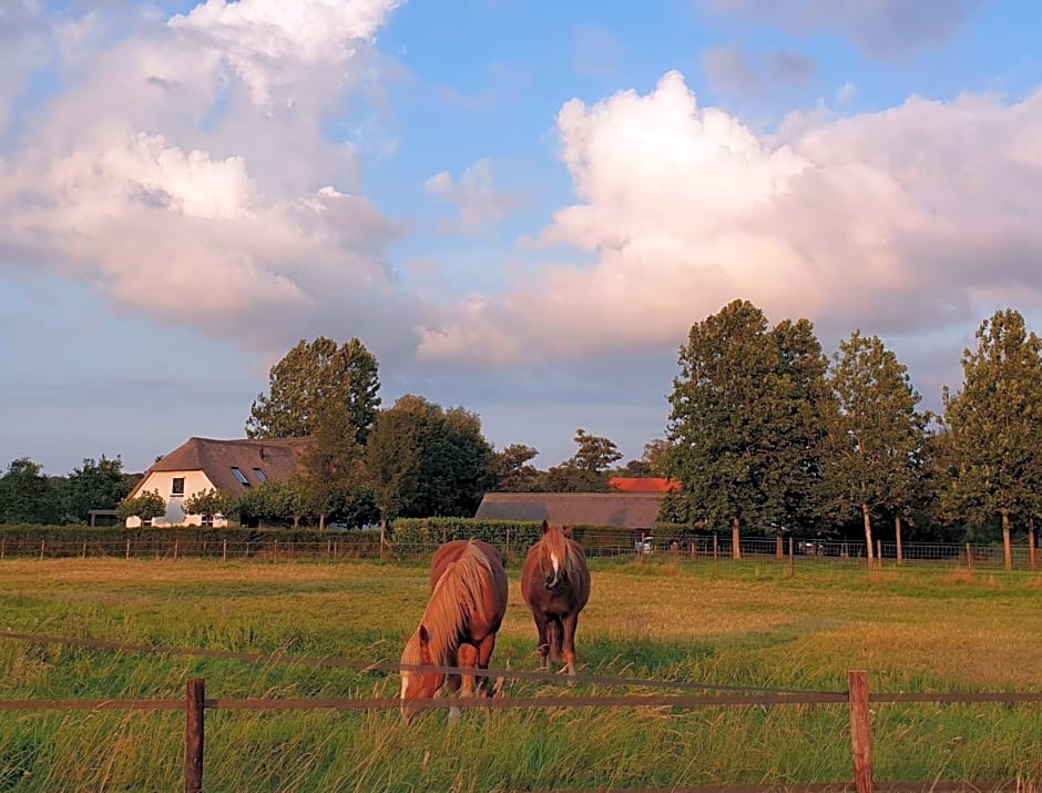 B&B de Scherpenhof