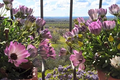 Terme e relax nella campagna viterbese