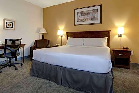 1 King Bed Business Room Non-Smoking