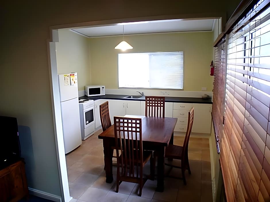 Coconut Palms on the Bay