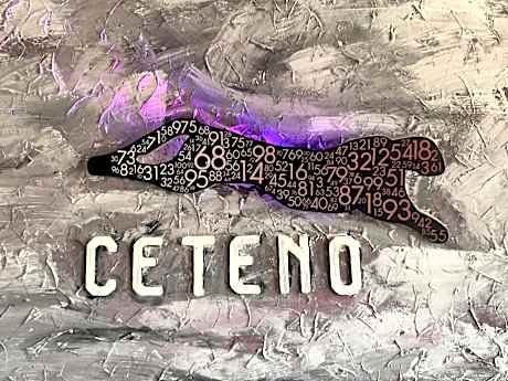 Hotel Ceteno