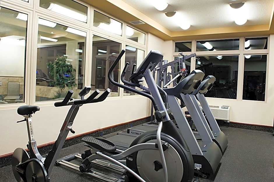 Holiday Inn Hotel & Suites-West Edmonton By IHG
